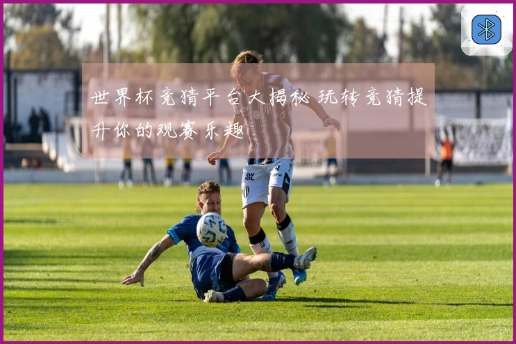 世界杯竞猜平台大揭秘 玩转竞猜提升你的观赛乐趣