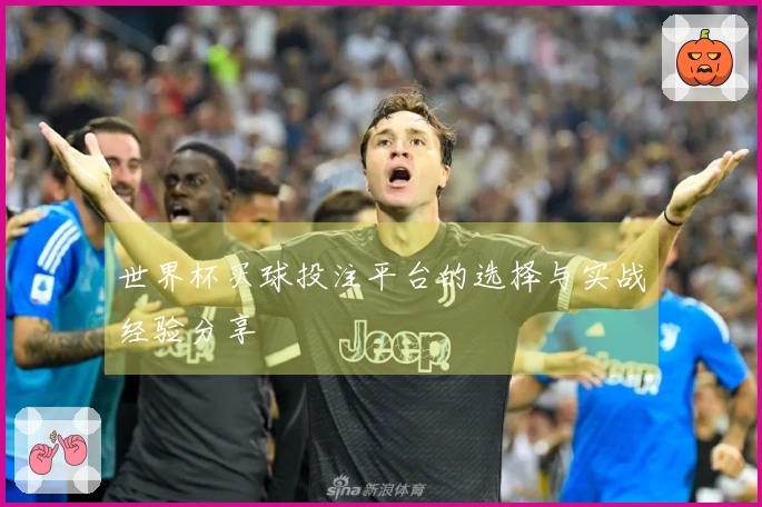 世界杯买球投注平台的选择与实战经验分享
