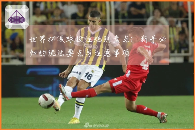 世界杯滚球投注规则盘点：新手必知的玩法要点与注意事项