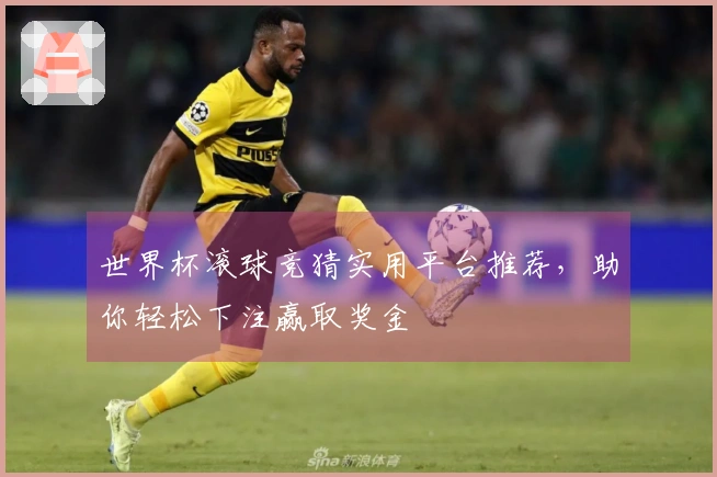 世界杯滚球竞猜实用平台推荐，助你轻松下注赢取奖金