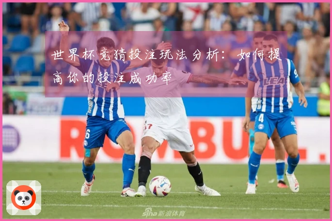 世界杯竞猜投注玩法分析：如何提高你的投注成功率