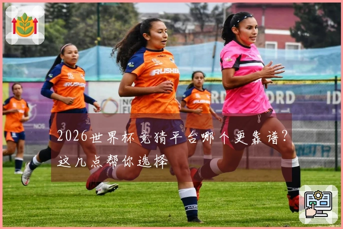 2026世界杯竞猜平台哪个更靠谱？这几点帮你选择