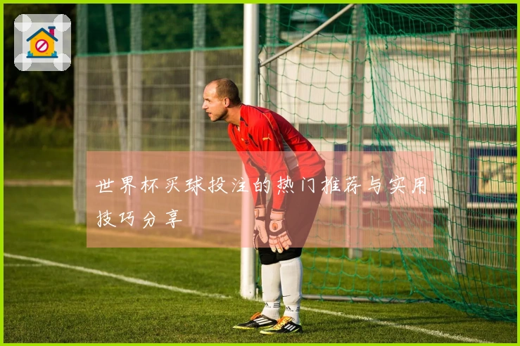 世界杯买球投注的热门推荐与实用技巧分享
