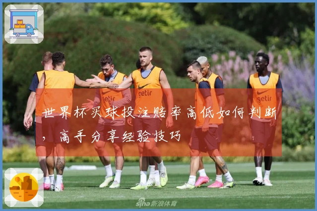世界杯买球投注赔率高低如何判断，高手分享经验技巧