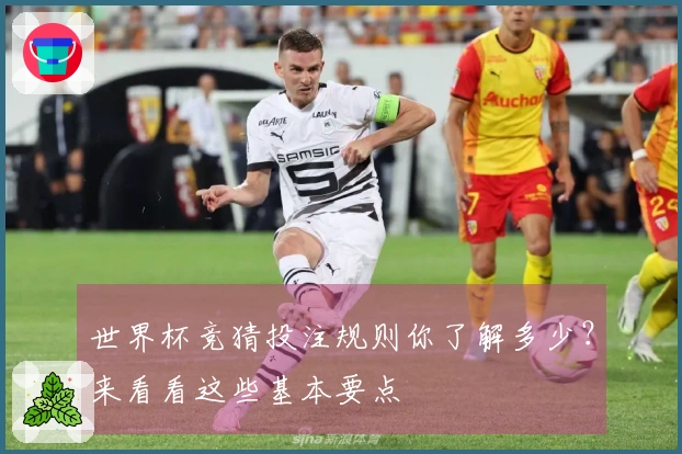 世界杯竞猜投注规则你了解多少？来看看这些基本要点