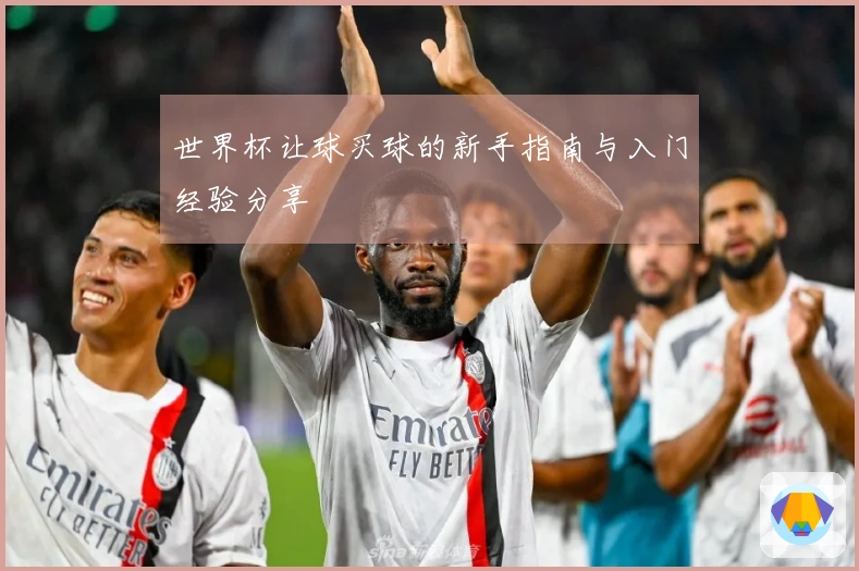 世界杯让球买球的新手指南与入门经验分享