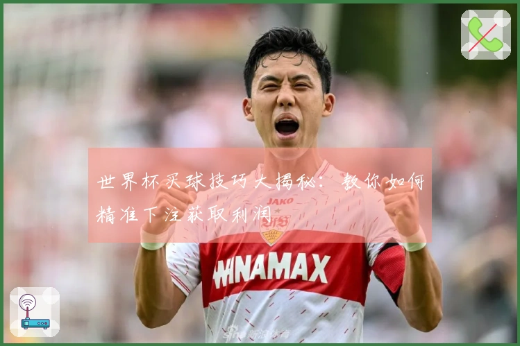 世界杯买球技巧大揭秘：教你如何精准下注获取利润