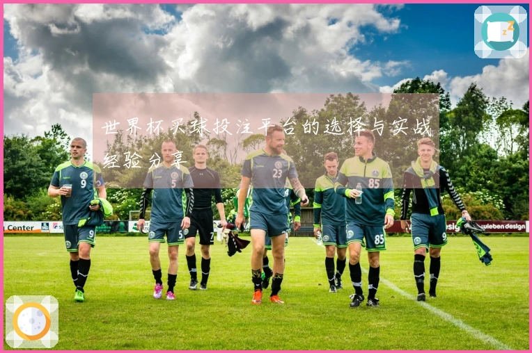 世界杯买球投注平台的选择与实战经验分享