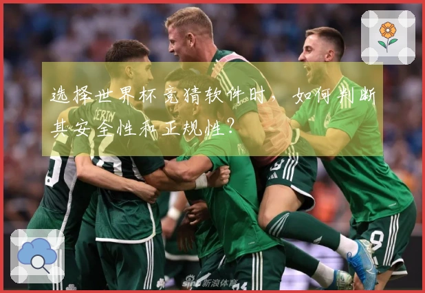 选择世界杯竞猜软件时，如何判断其安全性和正规性？