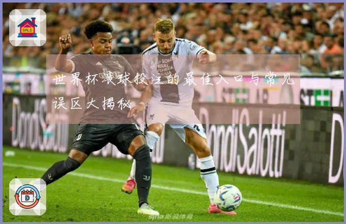 世界杯滚球投注的最佳入口与常见误区大揭秘