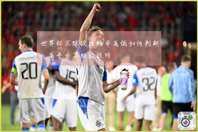 世界杯买球投注赔率高低如何判断，高手分享经验技巧