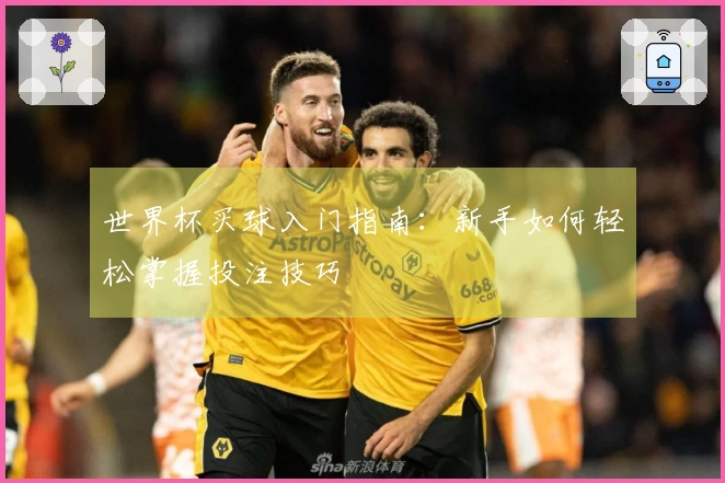 世界杯买球入门指南：新手如何轻松掌握投注技巧