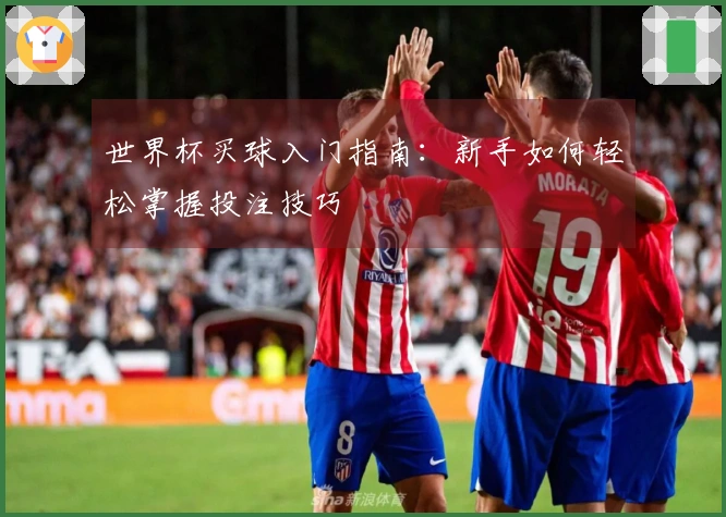 世界杯买球入门指南：新手如何轻松掌握投注技巧