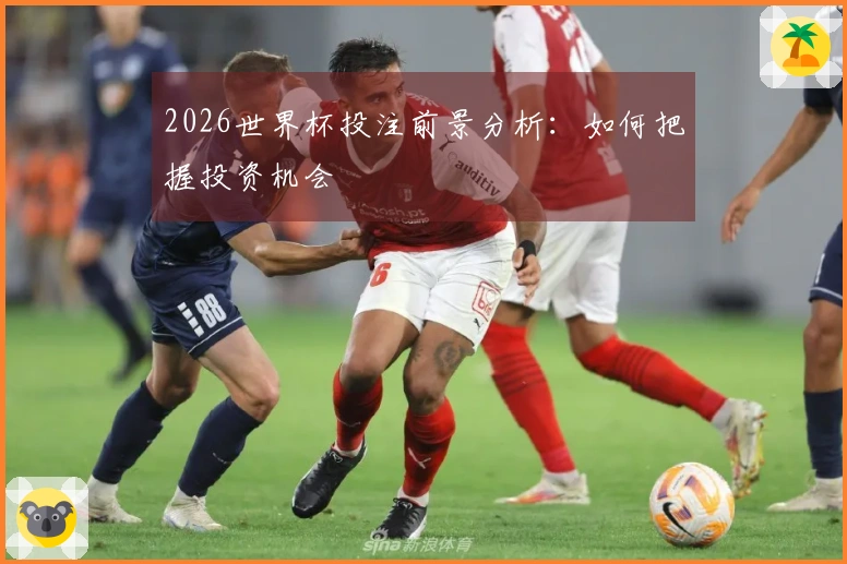 2026世界杯投注前景分析：如何把握投资机会