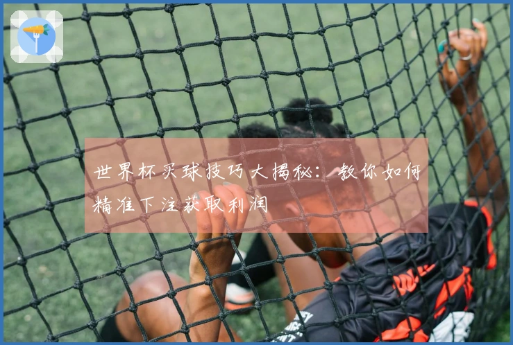 世界杯买球技巧大揭秘：教你如何精准下注获取利润
