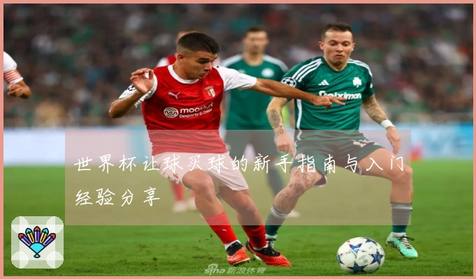 世界杯让球买球的新手指南与入门经验分享