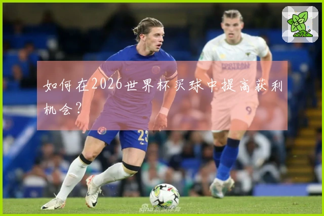 如何在2026世界杯买球中提高获利机会？