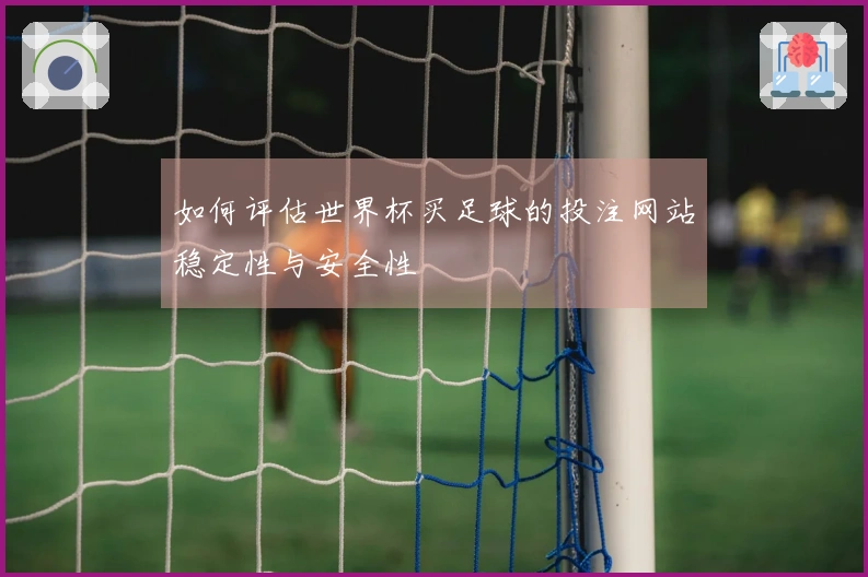 如何评估世界杯买足球的投注网站稳定性与安全性