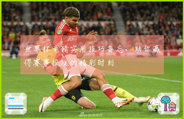 世界杯竞猜实用技巧备忘，助你赢得赛事投注的精彩时刻