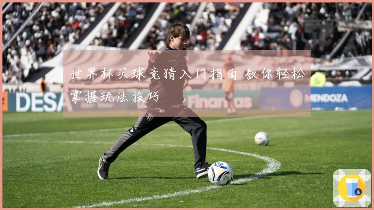 世界杯买球竞猜入门指南 教你轻松掌握玩法技巧
