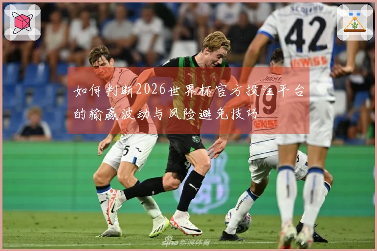 如何判断2026世界杯官方投注平台的输赢波动与风险避免技巧