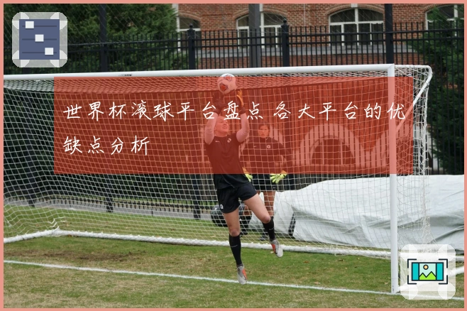 世界杯滚球平台盘点 各大平台的优缺点分析