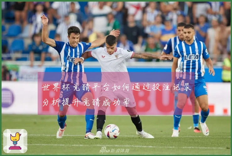 世界杯竞猜平台如何通过投注记录分析提升竞猜成功率